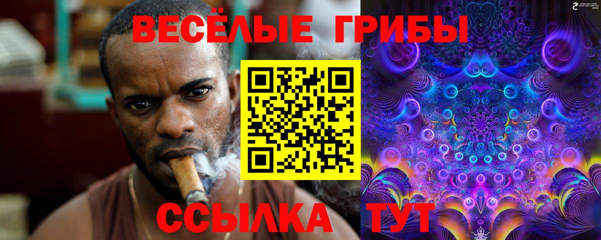 Псилоцибиновые грибы Magic Shrooms  Вход с VPN  Сальск 