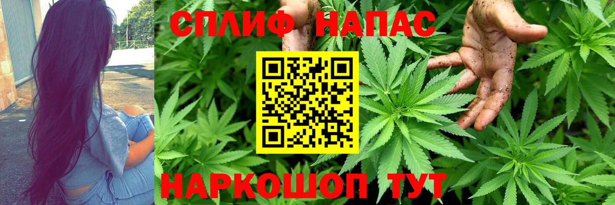 Канабис SATIVA & INDICA Сальск